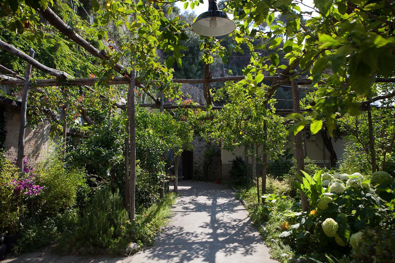 Hotel Pupetto Positano Eksteriør bilde